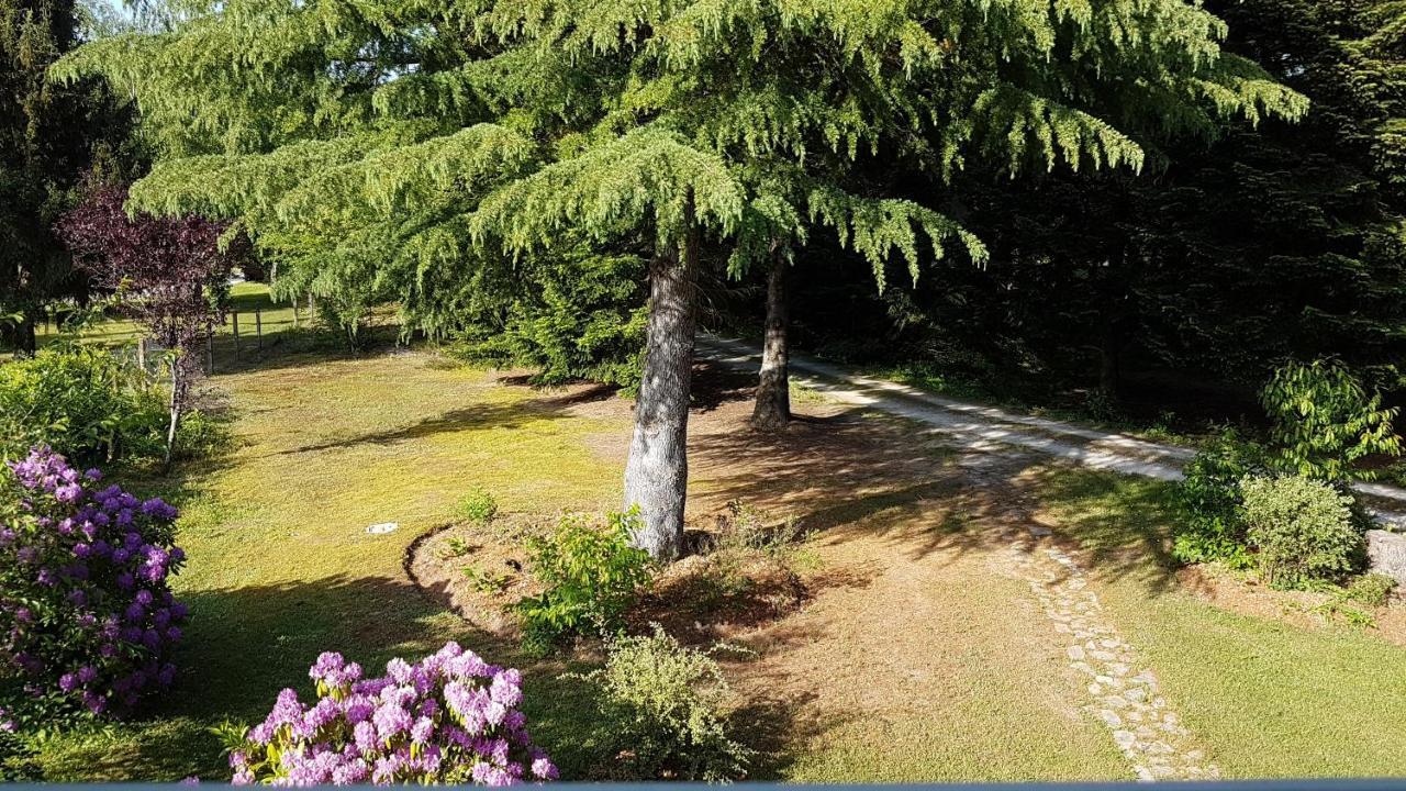 Le Clos Des Ecureuils Vouzon Ngoại thất bức ảnh
